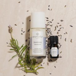 Kit Lavanda