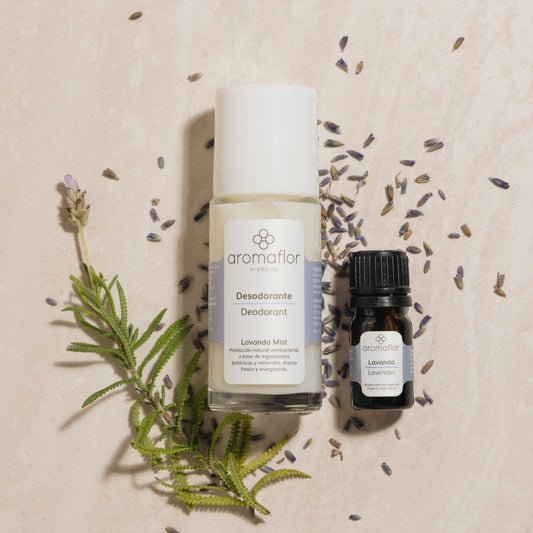 Kit Lavanda